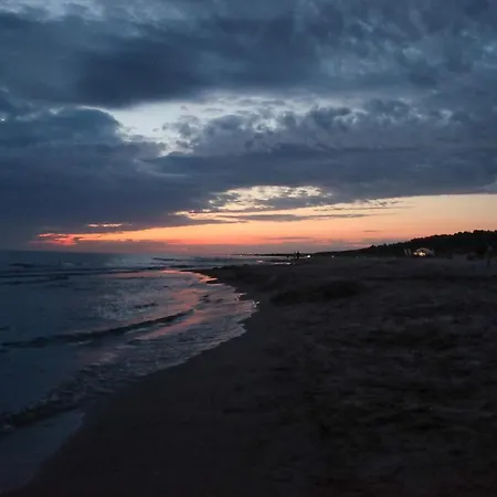 Amber-blue * Palanga