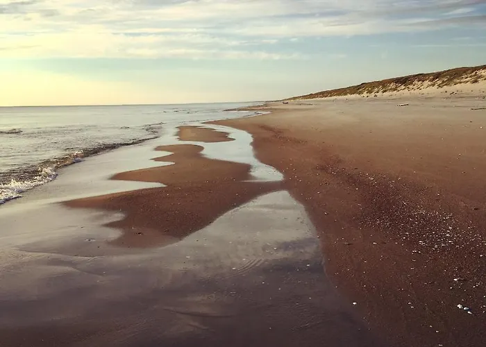 Amber-blue * Palanga