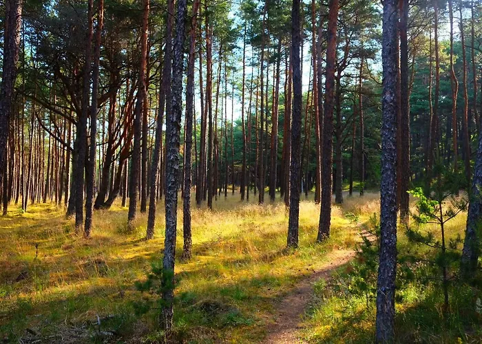 Amber-blue Vakantiehuis *